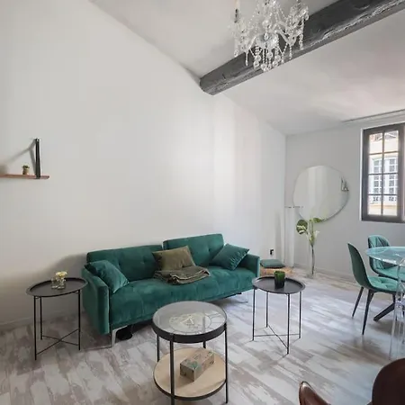 Duplex Elegant A Montauban